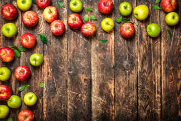 Red and green apples .