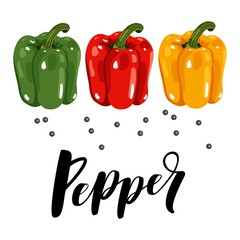 Set of three peppers. Yellow, red and green pepper. Vector illustration.