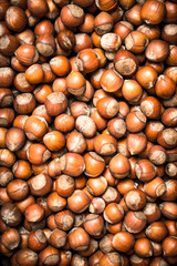 The hazelnut.