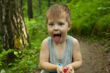 Young child blond boy eating raspberries in a summer forest