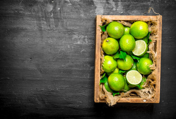 Fresh limes in the old box.