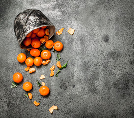Ripe tangerines in the old bucket.
