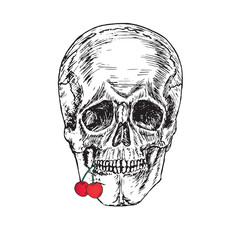 Skull chewing cherry, hand drawn doodle, sketch in woodcut style, vector illustration