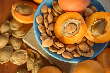 Apricot almond kernel seed