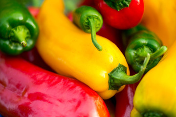 Summer harvest. Freshly picked, red, green and yellow sweet peppers, laying in grass in garden. Healthy eating, fresh food, vegetables, vitamins, diet, fitness. Making fresh salads for dinner. Tasty 