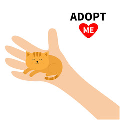 Adopt me. Hand arm holding orange red cat. Animal pet. Helping hands concept. Funny gift. Cute cartoon character. Close up body part. Flat design style. White background. Isolated.