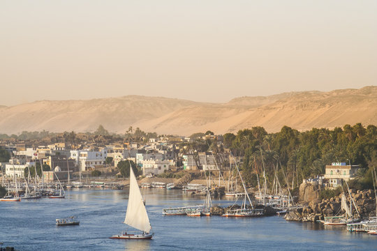  Feluccas in front of Elephantine Island, Aswan.