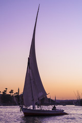  Feluccas in front of Elephantine Island, Aswan.