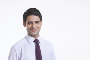 Portrait of a male executive smiling