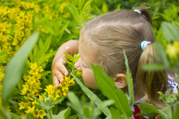 Naklejka premium Little girl enjoys the smell of flowers in the garden