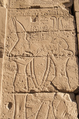 The carving at Karnak temple, Egypt