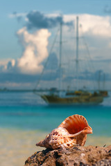 seashell on beach and beautiful marine background with sailing ship standing on calm water under clouds