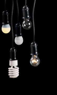five electric lamps in receptacle isolated on black