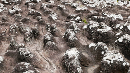 rock stone texture nature background.