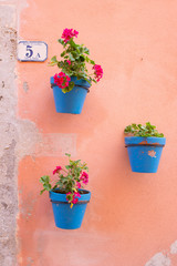 Fototapeta na wymiar Three blue pots hung on a pastel pink wall with geranium plants with pink flowers