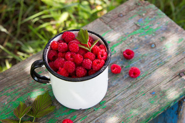 raspberry, summer, garden