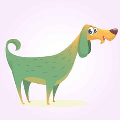 Cartoon afghan hound. Vector illustration of happy dog