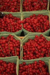 red currants on display
