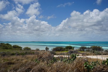 Fototapeta na wymiar Strand auf Kuba, Cayo Coco, Jardines del Rey