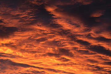Orange sky for background