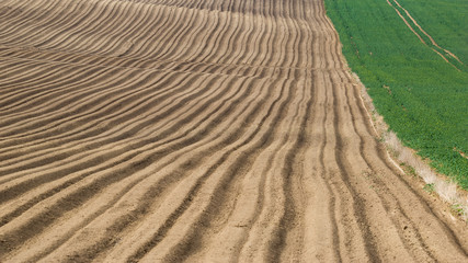 Agro farming, brown rows, soil for seeding