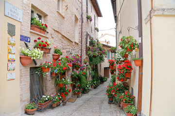 Fototapeta na wymiar Charming floral streets in Spello, Umbria Italy, artistic pictur