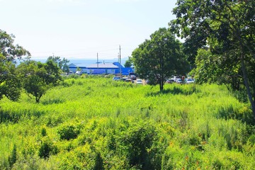 Obraz premium nature of the world