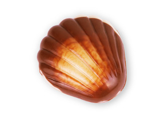 chocolate seashells on white background