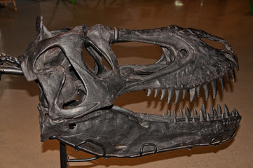 Tyrannosaurus skeleton © alexandros33