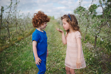 Fototapeta premium little boy and girl in blooming garden