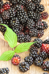 Blackberries