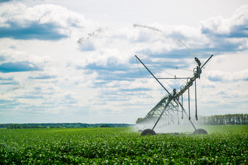 An irrigation pivot watering a field