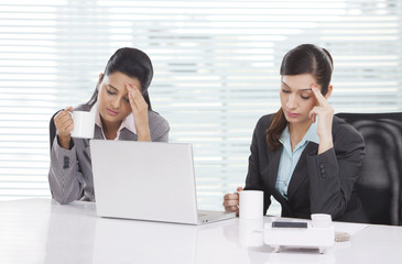 Fototapeta premium Portrait of young business women