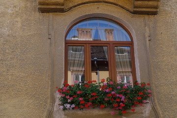 Beautiful window with flowers mirroring opposite building in Sibiu city, Romania