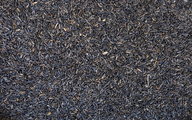 Niger seed from the Guizotia Abyssinica herb, used for birds 