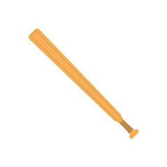 Sport baseball bat