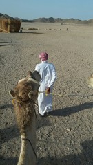 View from camel hump during tourist ride