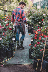 Fototapeta na wymiar back view of handsome gardener in apron walking in garden with various plants and flowers