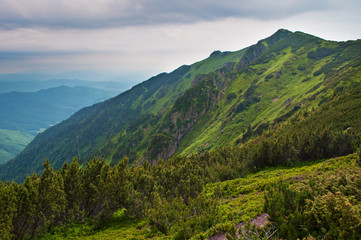 Fototapeta na wymiar Majestic rocky rugged cliffs and steep hills covered in green lush grass, bushes and pine forest. Cloudy day in summer. Maramures, Carpathian mountains, Ukraine