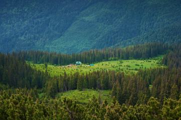 Closeup of one hut on a green meadow in the valley among majestic green hills covered in lush grass and pine forest. Summer day in June. Marmarosh, Carpathian mountains, Ukraine