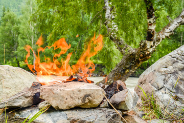 Camp fire. Bonfire diluted in the rocks against the background of the forest