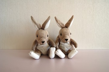 Fototapeta na wymiar toy rabbit