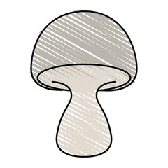 mushroom vector illustration