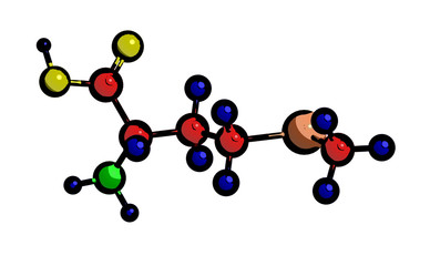 Molecular structure of Selenomethionine