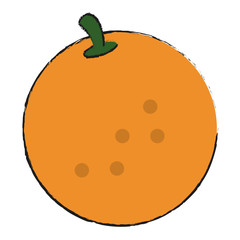 orange vector illustration