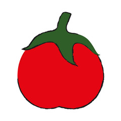 tomato vector illustration
