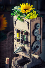 Vintage virgin oil machine with sunflower and seeds