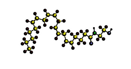 Molecular structure of Anandamide