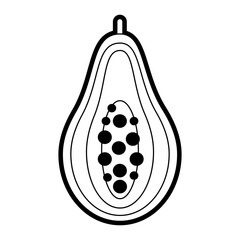 papaya vector illustration