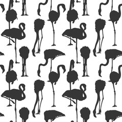 Seamless pattern with image of a Flamingo. Vector black and white illustration.